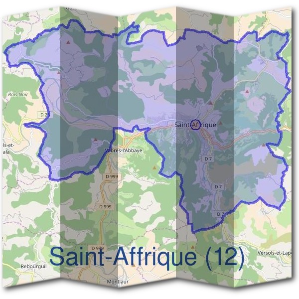 Mairie de Saint-Affrique (12)