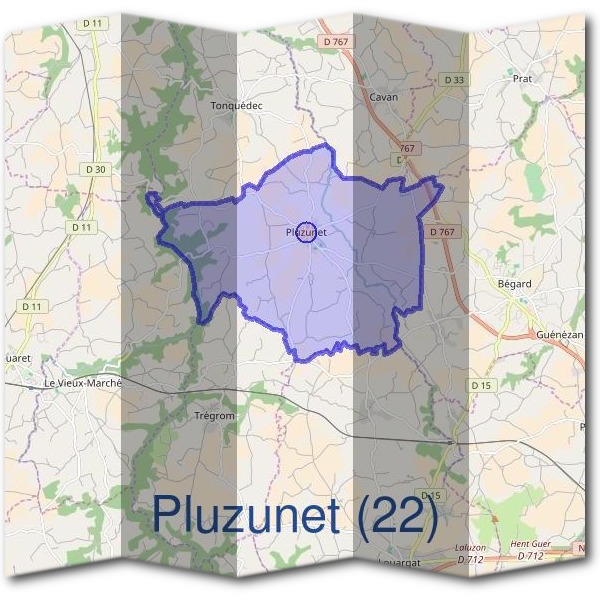 Mairie de Pluzunet (22)