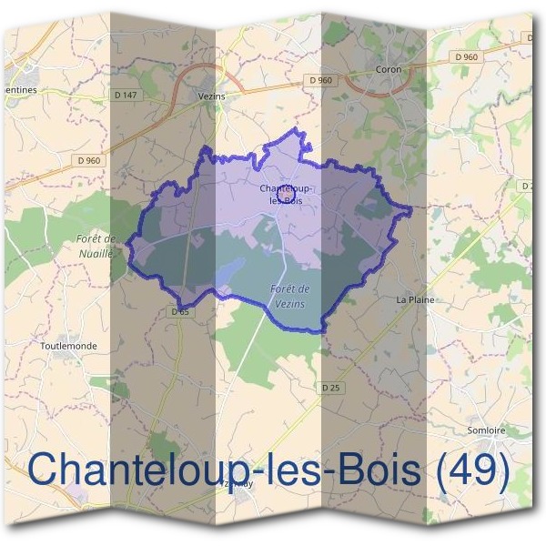 Mairie de Chanteloup-les-Bois (49)