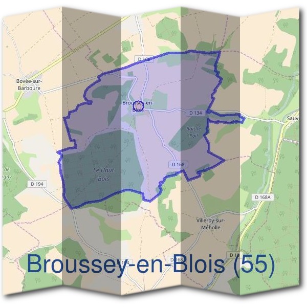 Mairie de Broussey-en-Blois (55)
