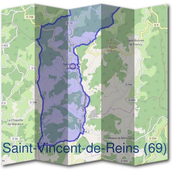 Mairie de Saint-Vincent-de-Reins (69)
