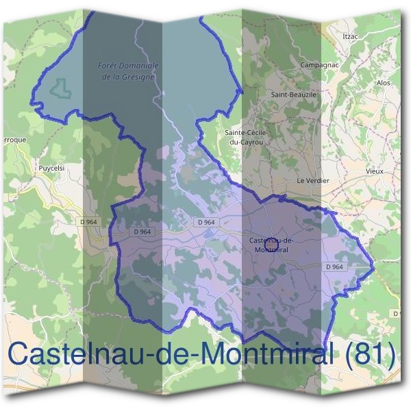 Mairie de Castelnau-de-Montmiral (81)