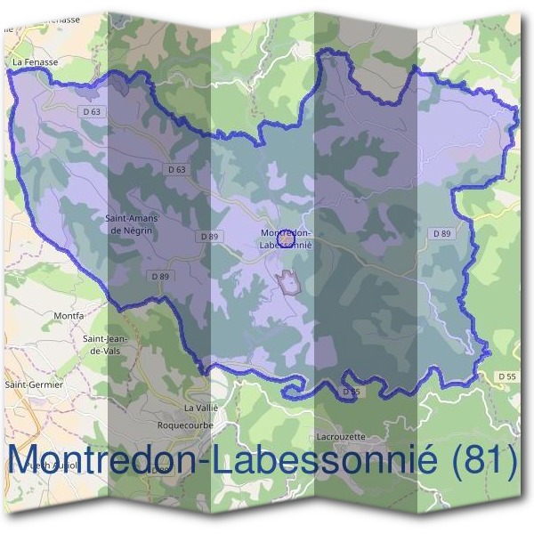 Mairie de Montredon-Labessonnié (81)