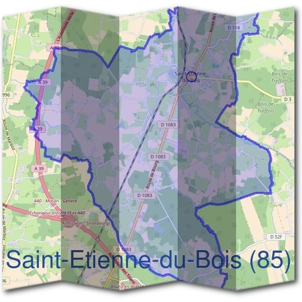 Mairie de Saint-Étienne-du-Bois (85)