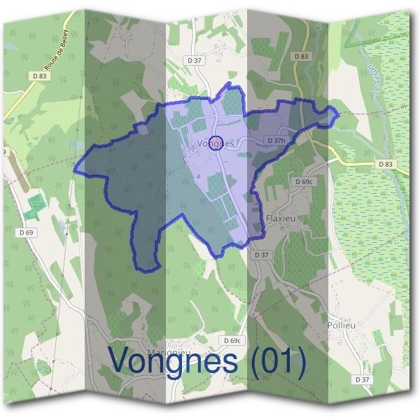 Mairie de Vongnes (01)