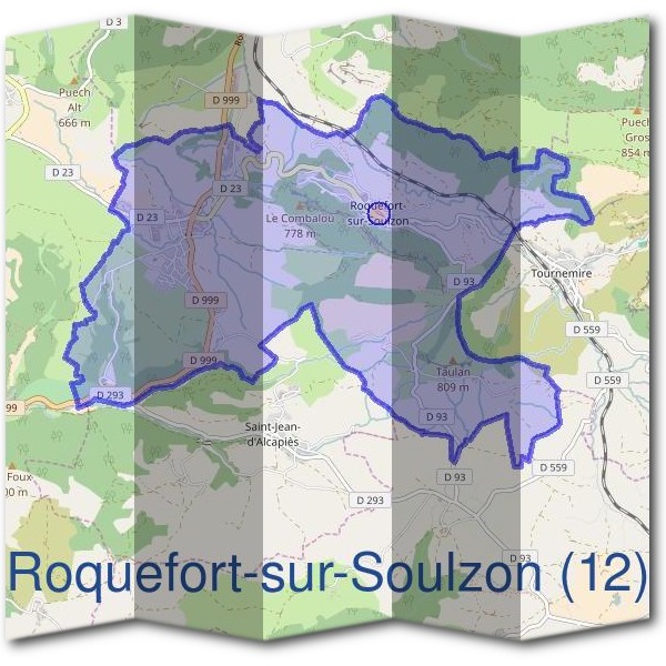Mairie de Roquefort-sur-Soulzon (12)