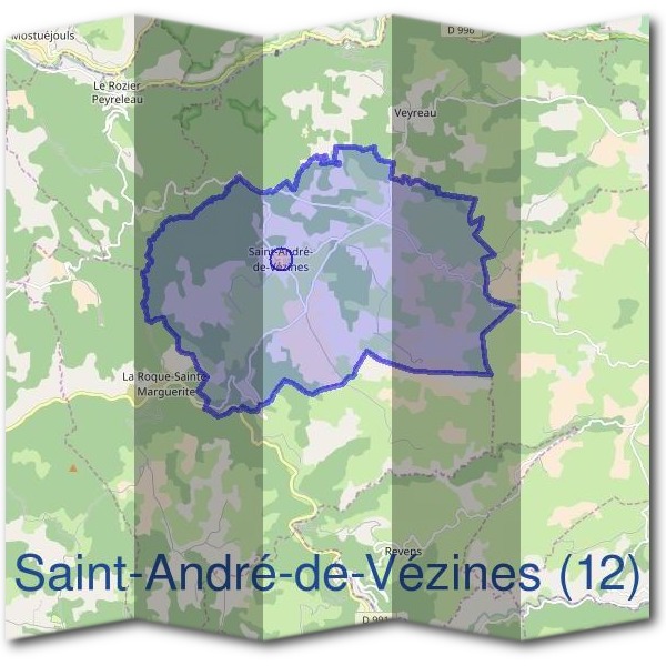 Mairie de Saint-André-de-Vézines (12)