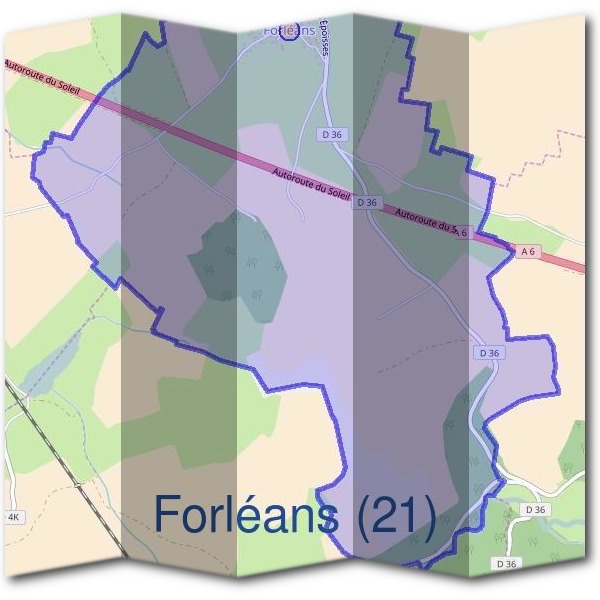 Mairie de Forléans (21)