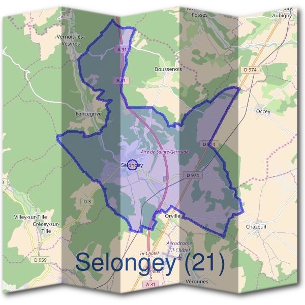 Mairie de Selongey (21)
