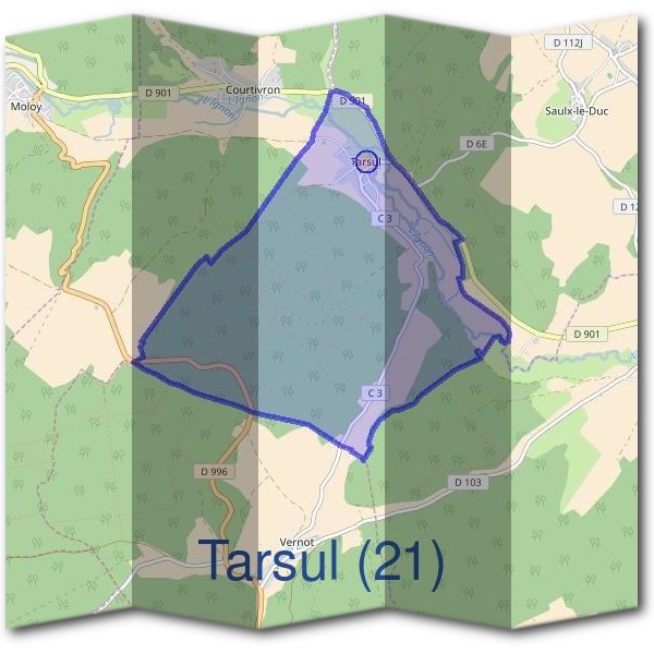Mairie de Tarsul (21)