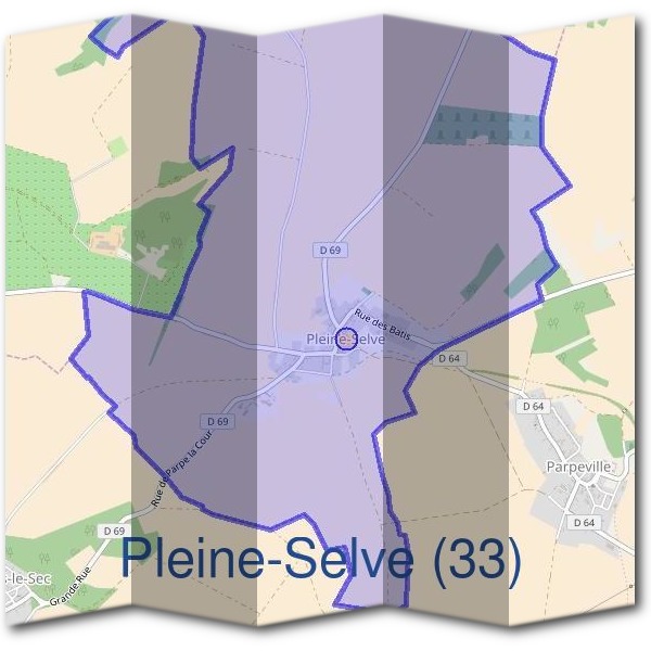 Mairie de Pleine-Selve (33)