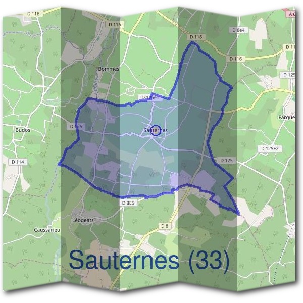 Mairie de Sauternes (33)