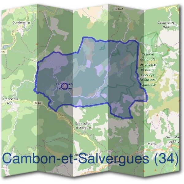 Mairie de Cambon-et-Salvergues (34)