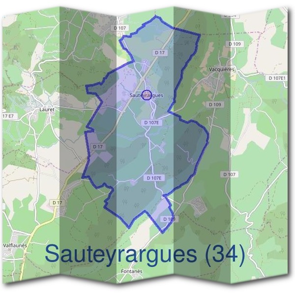 Mairie de Sauteyrargues (34)
