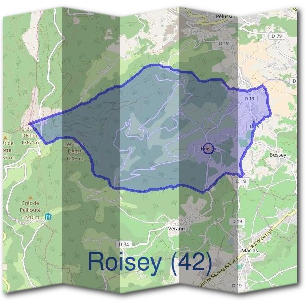 Mairie de Roisey (42)