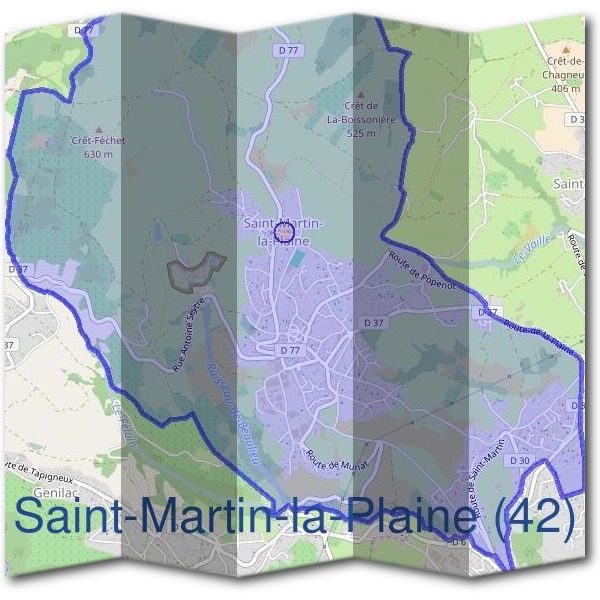 Mairie de Saint-Martin-la-Plaine (42)