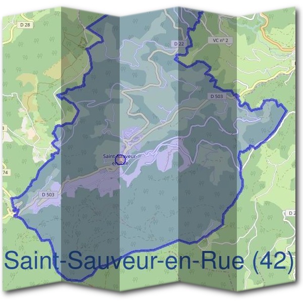 Mairie de Saint-Sauveur-en-Rue (42)
