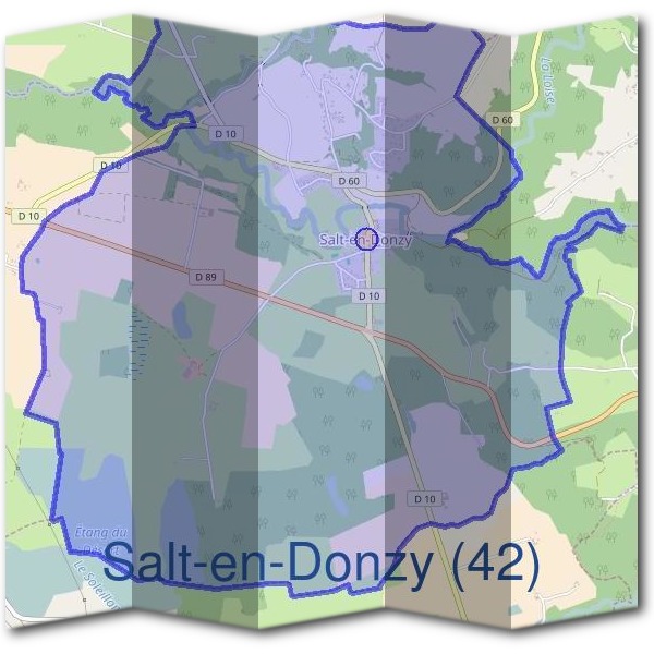 Mairie de Salt-en-Donzy (42)
