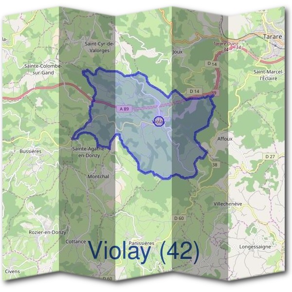 Mairie de Violay (42)