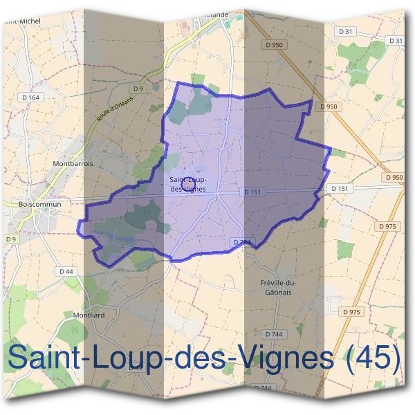 Mairie de Saint-Loup-des-Vignes (45)