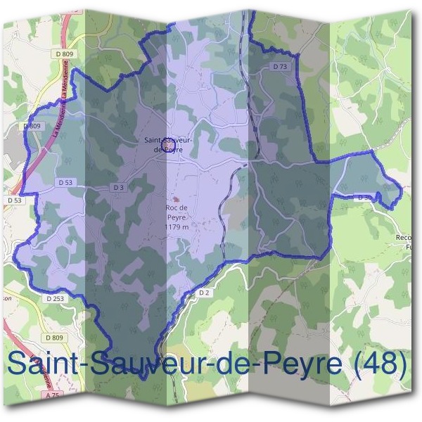Mairie de Saint-Sauveur-de-Peyre (48)