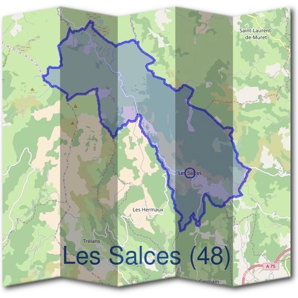 Mairie des Salces (48)