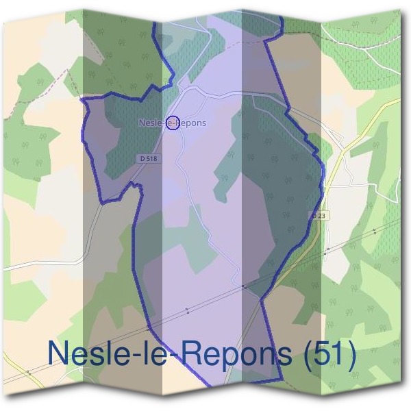 Mairie de Nesle-le-Repons (51)