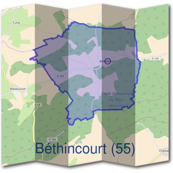 Mairie de Béthincourt (55)