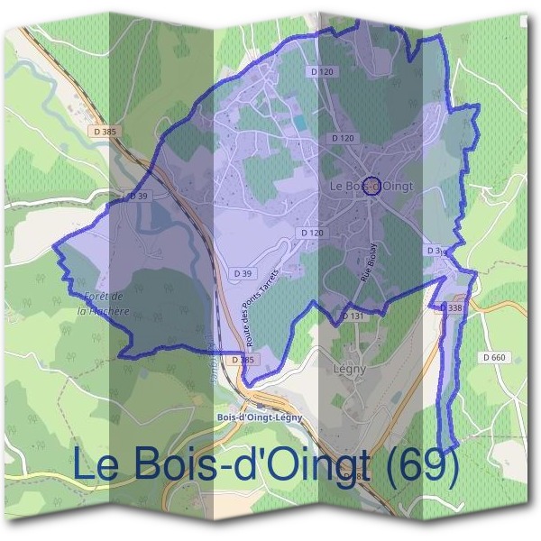 Mairie du Bois-d'Oingt (69)