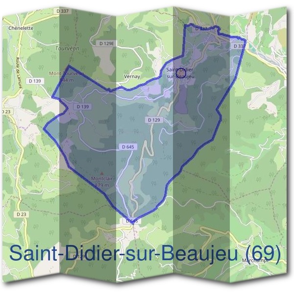 Mairie de Saint-Didier-sur-Beaujeu (69)