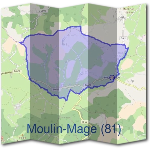 Mairie de Moulin-Mage (81)