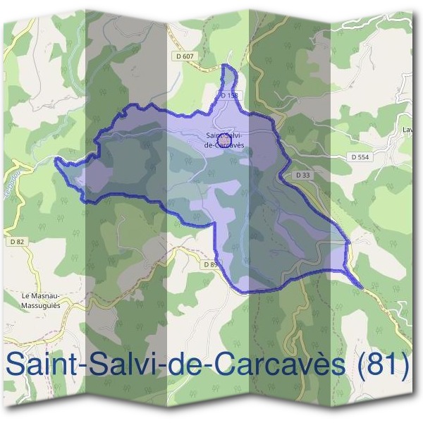 Mairie de Saint-Salvi-de-Carcavès (81)