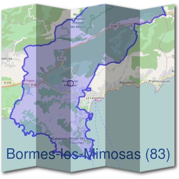 Mairie de Bormes-les-Mimosas (83)