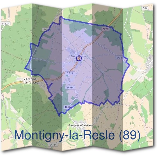 Mairie de Montigny-la-Resle (89)